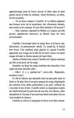 Dans les brumes du Mercantour