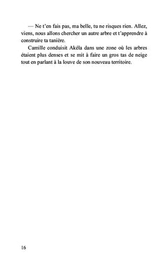 Dans les brumes du Mercantour