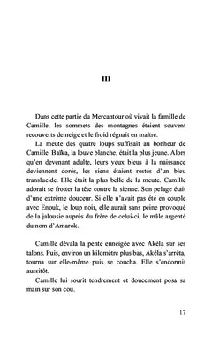 Dans les brumes du Mercantour