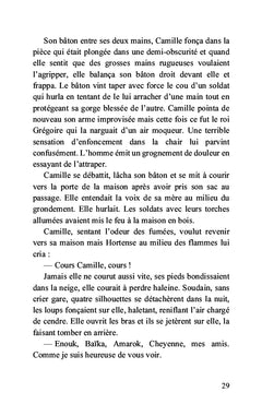 Dans les brumes du Mercantour
