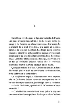 Dans les brumes du Mercantour
