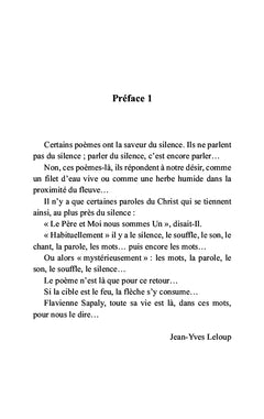 Itinérances d'une pèlerine en quête de Dieu