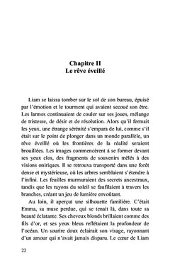 Au-delà des illusions
