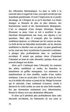 Au-delà des illusions