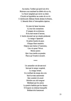 Retour d'outre-monde - Tome I