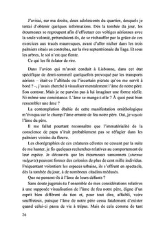 Lisbonne, andante