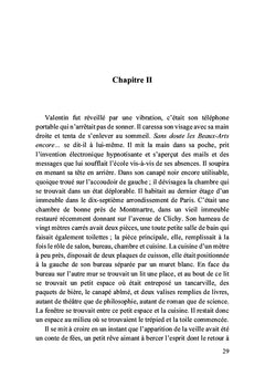 Les déboires des étourdis