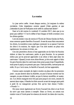 Petit chiot deviendra grand chien-guide