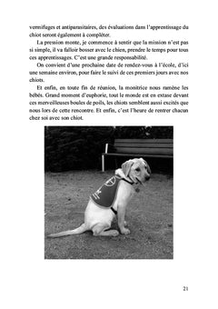 Petit chiot deviendra grand chien-guide