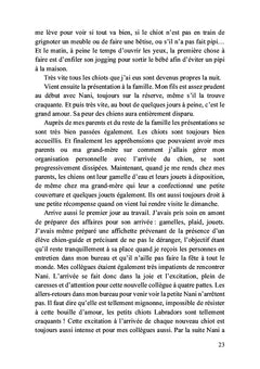 Petit chiot deviendra grand chien-guide