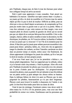 Petit chiot deviendra grand chien-guide