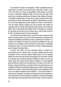 Petit chiot deviendra grand chien-guide