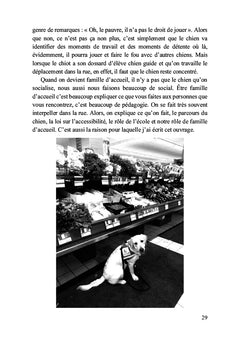 Petit chiot deviendra grand chien-guide