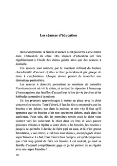 Petit chiot deviendra grand chien-guide