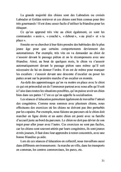 Petit chiot deviendra grand chien-guide
