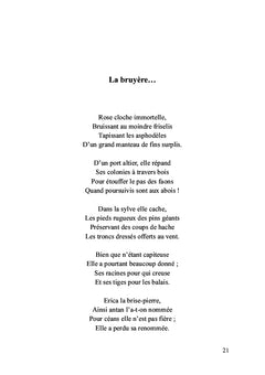 L'iris Bleu
