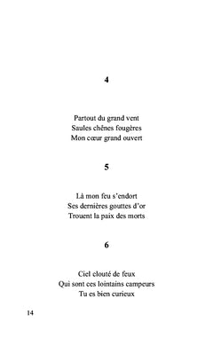Haïkus pour passer le temps