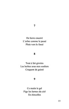Haïkus pour passer le temps