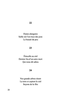 Haïkus pour passer le temps