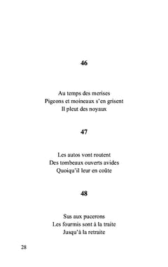 Haïkus pour passer le temps