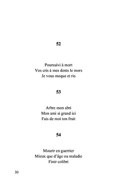 Haïkus pour passer le temps