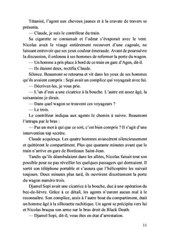 La chute de l’étoile - Tome II: La terre des oubliés