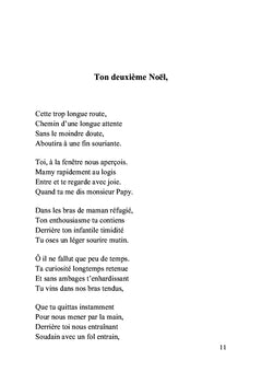 Carnet de voyage d'un enfant écrit par son grand-père: Troisième année