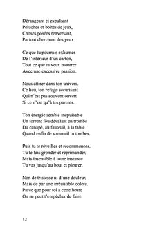 Carnet de voyage d'un enfant écrit par son grand-père: Troisième année