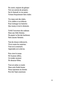 Carnet de voyage d'un enfant écrit par son grand-père: Troisième année