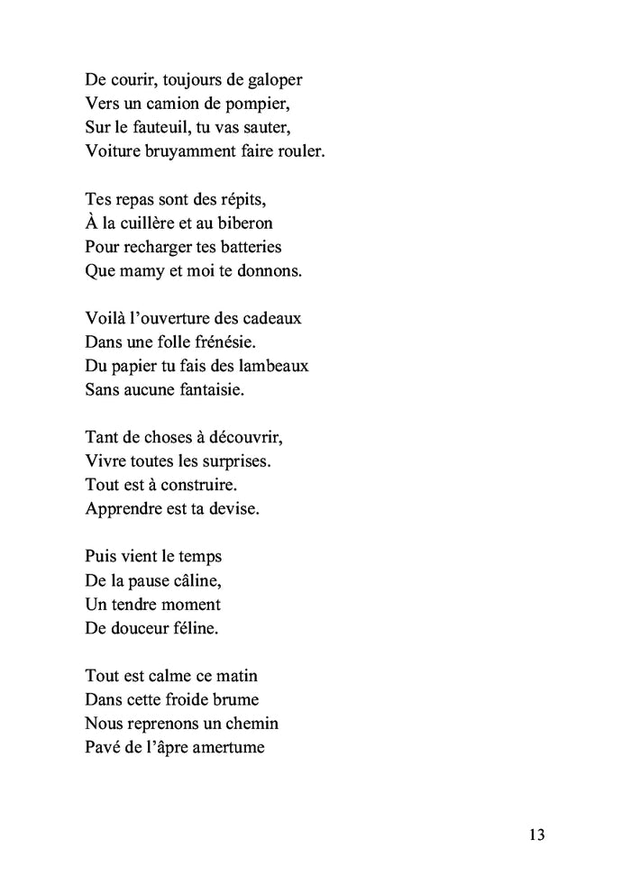 Carnet de voyage d'un enfant écrit par son grand-père: Troisième année