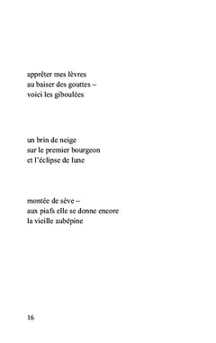 Les saisons de mon sentier