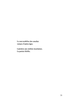 Ombres lointaines