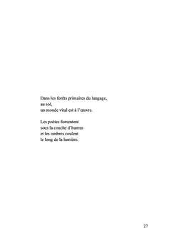 Ombres lointaines