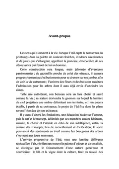 Un château de cartes
