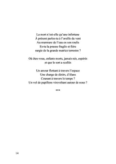 Fragile est le vol de l'oiseau