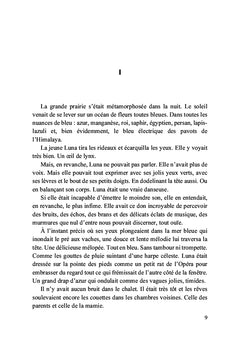Sous l'oeil de l'écureuil