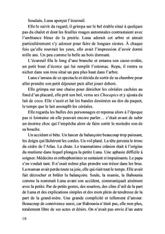 Sous l'oeil de l'écureuil