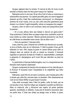 Sous l'oeil de l'écureuil