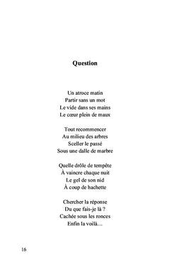 Carnet de vers