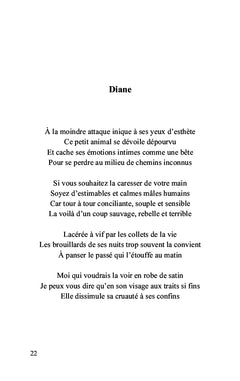 Carnet de vers