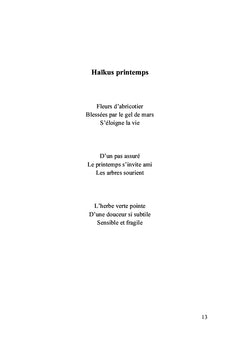 Pérégrinations d'une poétesse