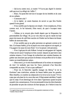 L'ombre du rebelle