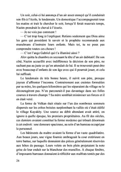 L'ombre du rebelle