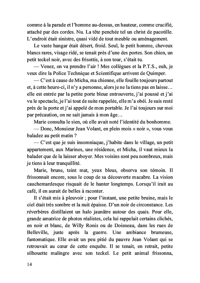 Le festin des goélands