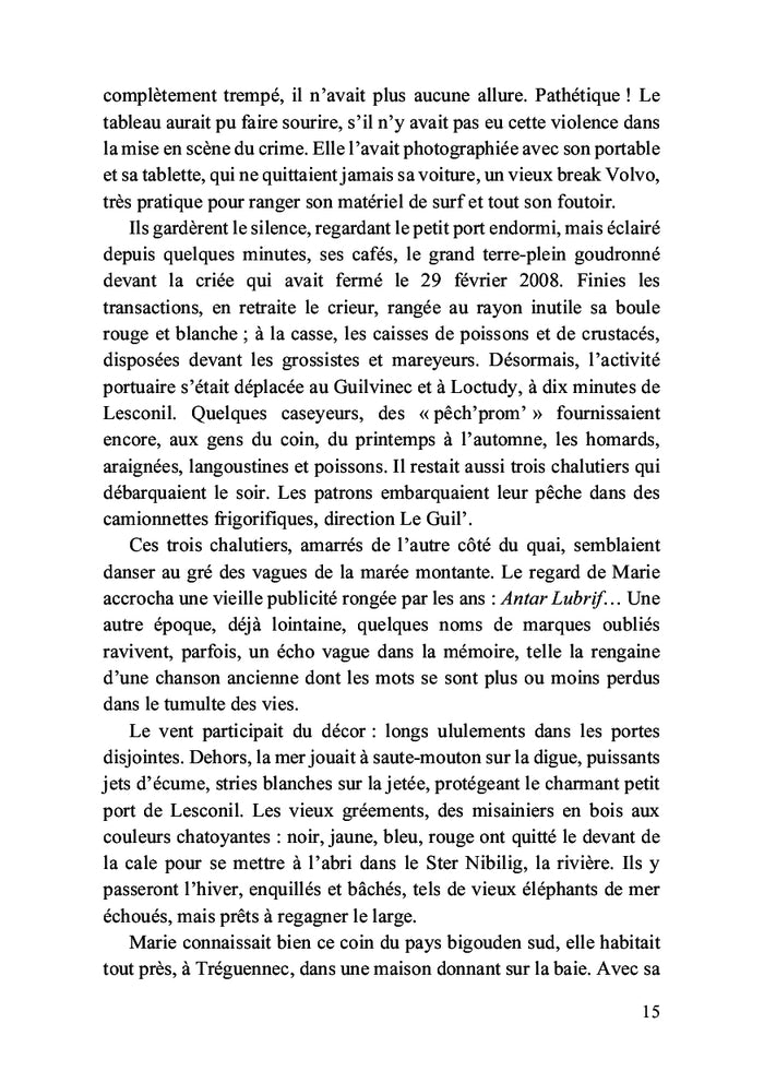 Le festin des goélands