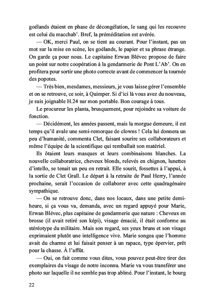 Le festin des goélands