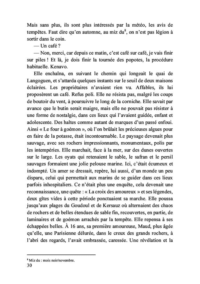 Le festin des goélands