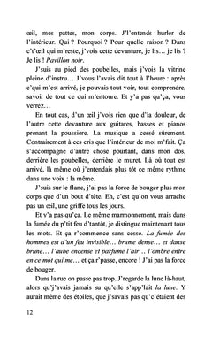 Comme l'ombre d'un chat noir
