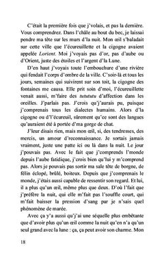 Comme l'ombre d'un chat noir