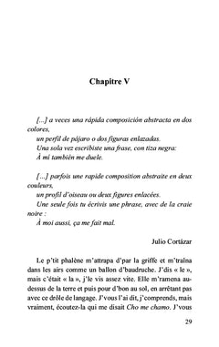 Comme l'ombre d'un chat noir